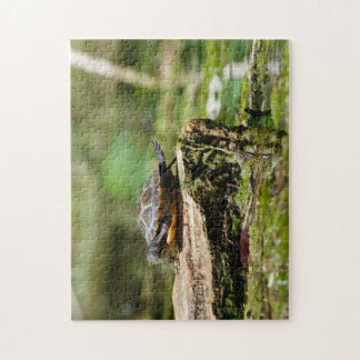 "The Shy Turtle" 252 Piece Jigsaw Puzzle ジグソーパズル