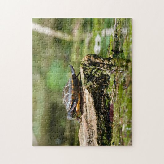 "The Shy Turtle" 252 Piece Jigsaw Puzzle ジグソーパズル (縦)