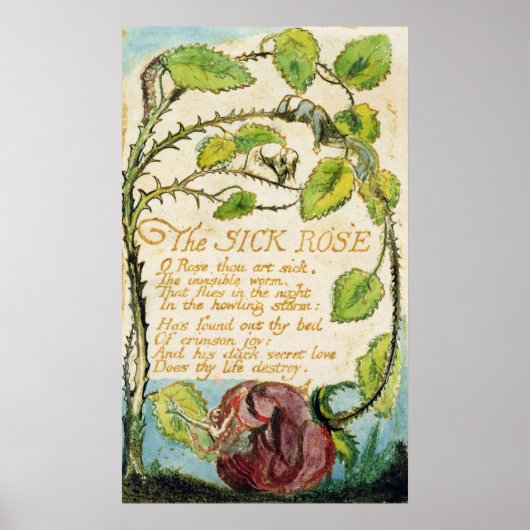The Sick Rose, from Songs of Innocence ポスター (正面)