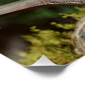 The Silent Minstrel of the Forest ポスター (コーナー)