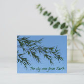 the sky seen from earth ポストカード (スタンド正面)