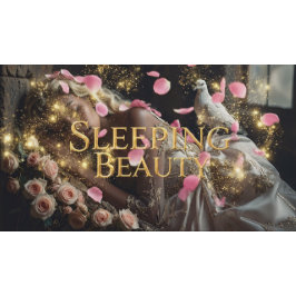 THE SLEEPING BEAUTY - BALLET & DANCE 横断幕
