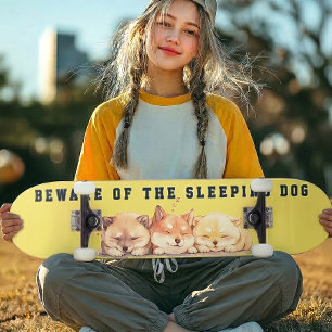 The Sleeping Shiba Street Custom スケートボード