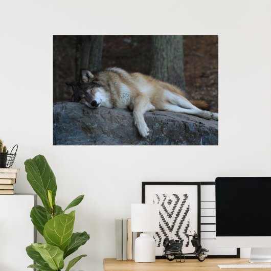 The Sleeping Wolf ポスター (ホームオフィス)