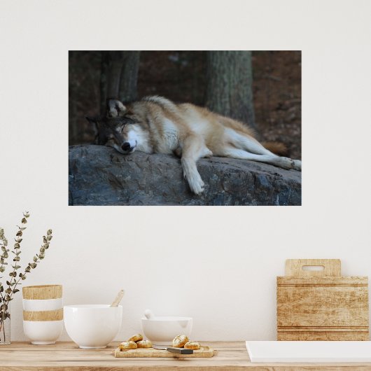 The Sleeping Wolf ポスター (キッチン)