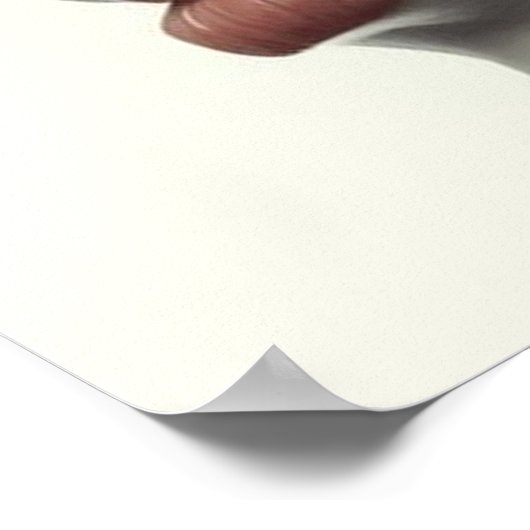 The Smokey Veil on a Square Wall ポスター (角)