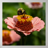 The Snack ポスター (正面)