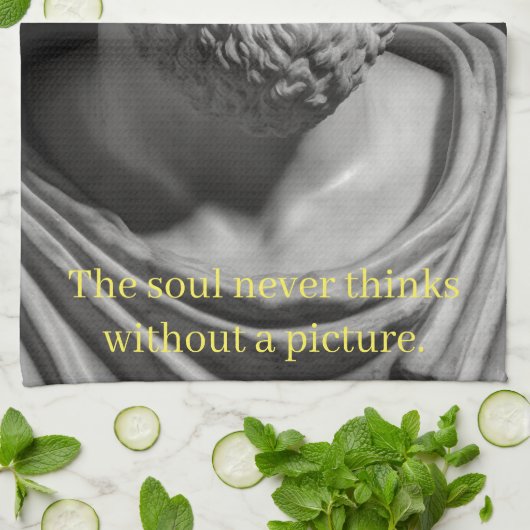 The Soul never thinks without a Picture キッチンタオル (折り畳み)