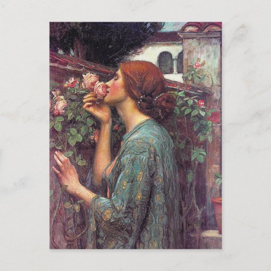 The Soul of the バラ by John W. Waterhouse ポストカード (正面)