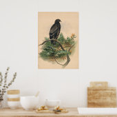 The Spotted Eagle by Joseph Wolf ポスター (キッチン)