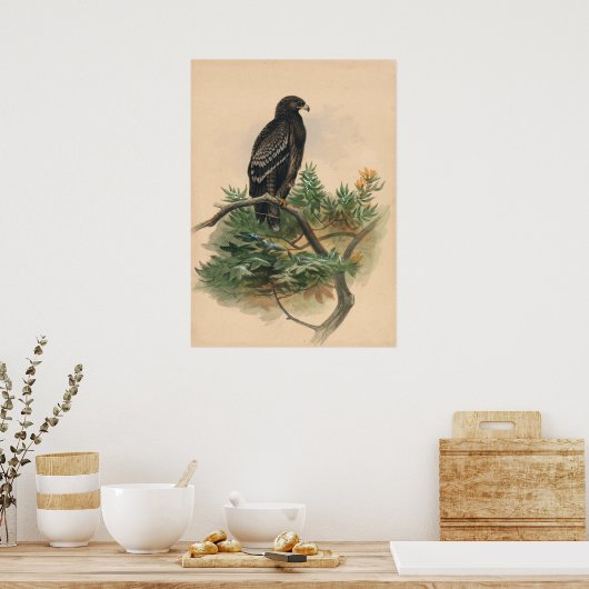 The Spotted Eagle by Joseph Wolf ポスター (キッチン)