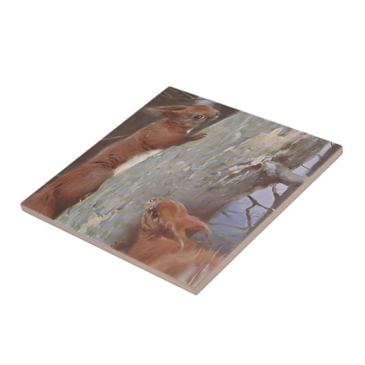 THE SQUIRREL (Sciurus vulgaris) タイル (側面)