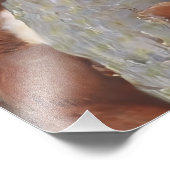 THE SQUIRREL (Sciurus vulgaris) フォトプリント (角)