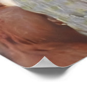 THE SQUIRREL (Sciurus vulgaris) ポスター (角)