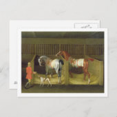 The Stables and Two Famous Running Horses belongin ポストカード (正面/裏面)