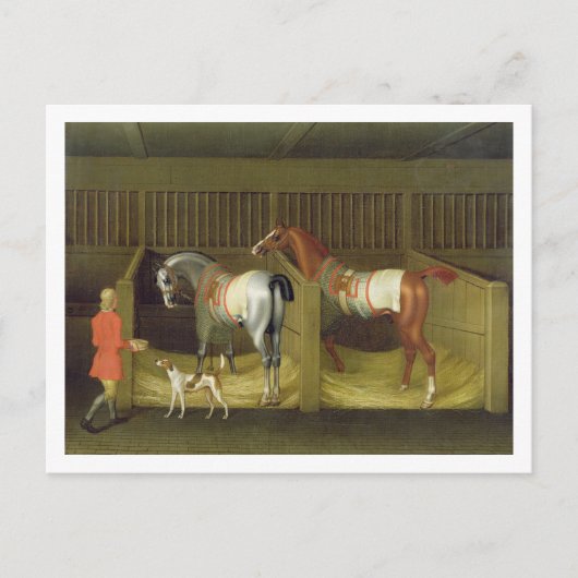 The Stables and Two Famous Running Horses belongin ポストカード (正面)