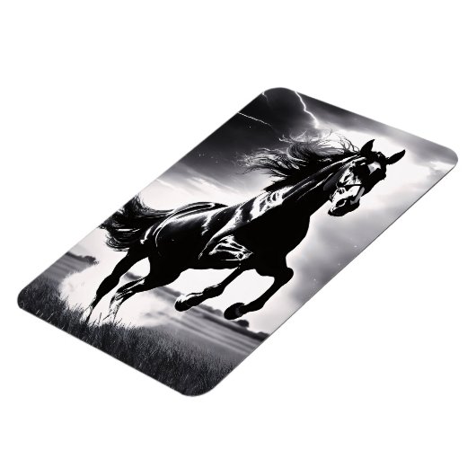 The Stallion Stud マグネット (左側)