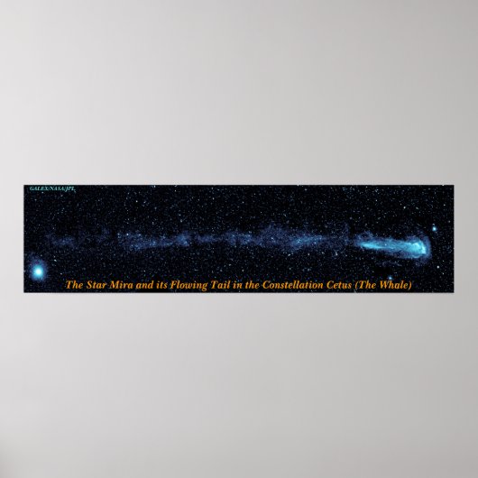 The Star Mira With Flowing Tail ポスター (正面)