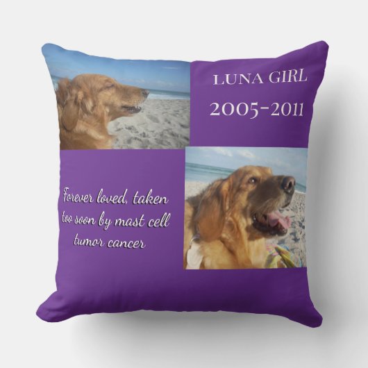 The Story Love Never Ends クッション (正面)