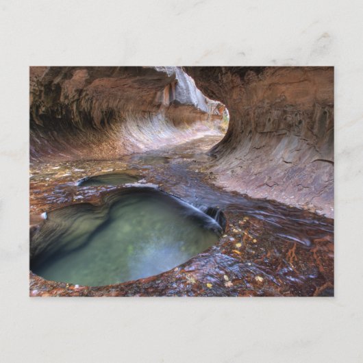 The Subway along the Left Fork of the Virgin 2 ポストカード (正面)