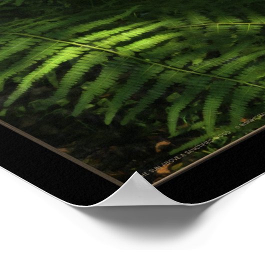 The Sun ポスター (角)