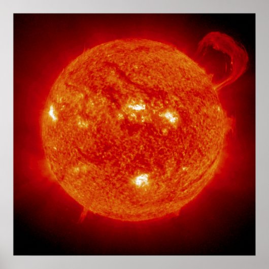 The Sun ポスター (正面)