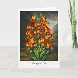 The Superb Lily — Modern Botanical Reinterpretatio カード