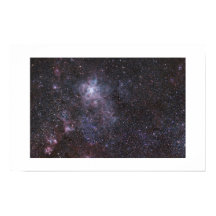 The Tarantula Nebula - Large Magellanic Cloud