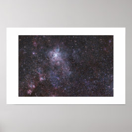 The Tarantula Nebula - Large Magellanic Cloud ポスター