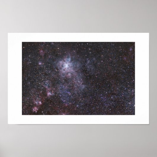The Tarantula Nebula - Large Magellanic Cloud ポスター (正面)