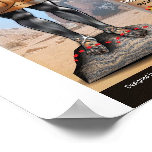 the ten toes ポスター (角)