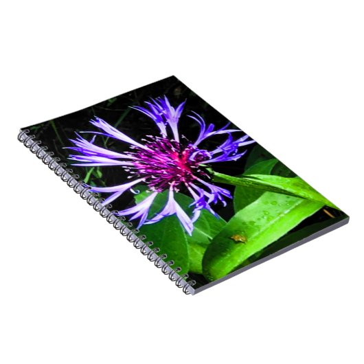 THE Thistle     ノートブック (右側)