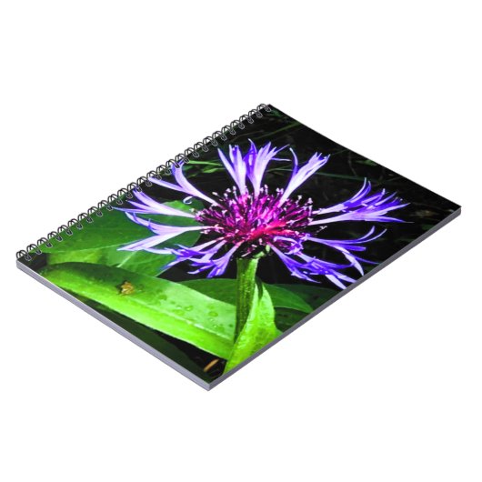 THE Thistle     ノートブック (左側)