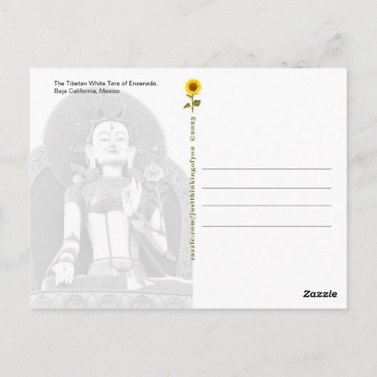 The Titet White Tara of Ensenada – はがき (裏面)