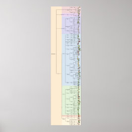 The Tree of Yum: Plantae ポスター