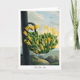 The Tube Aloe — Modern Botanical Reinterpretation カード