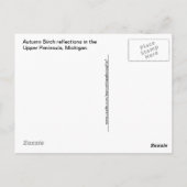 The U. P.:秋の樺の木の木の反射 ポストカード (裏面)