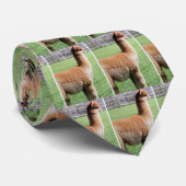 "THE ULTIMATE ALPACA" TIE ネクタイ (ロール)