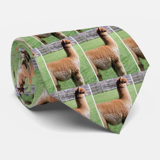 "THE ULTIMATE ALPACA" TIE ネクタイ (ロール)