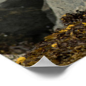 The Ultimate Bald Eagle ポスター (角)