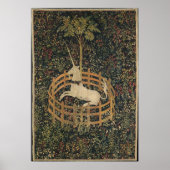 The Unicorn in Captivity ポスター (正面)