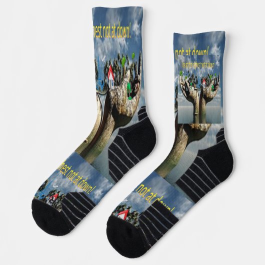 The Unlikely Hero: Witness the "Frog That Carries  ソックス (左)