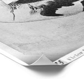 The Vallardi Albumのダックス ポスター (角)