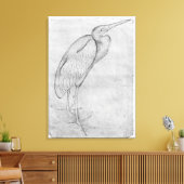 The Vallardi Albumよりペリカン キャンバスプリント (インサイチュ (リビング))