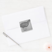 The Vallardi AlbumよりGuinea Fowl スクエアシール (封筒)