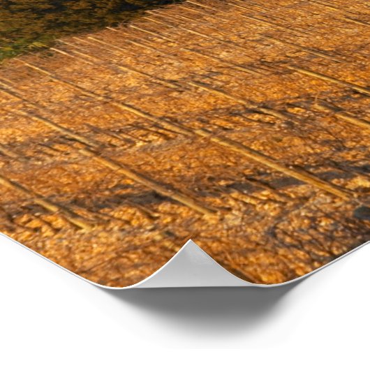 The vineyard with syrah vines and the chateau ポスター (角)