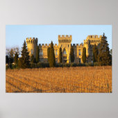 The vineyard with syrah vines and the chateau ポスター (正面)