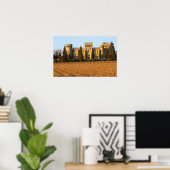 The vineyard with syrah vines and the chateau ポスター (ホームオフィス)