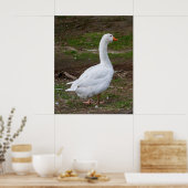 The Walk About ポスター (キッチン)