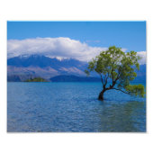 The Wanaka Tree, Lake Wanaka, NZ – 写真プリント フォトプリント (正面)